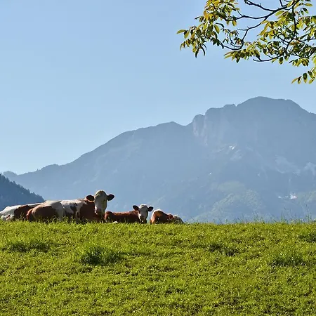 Woferllehen Apartman *